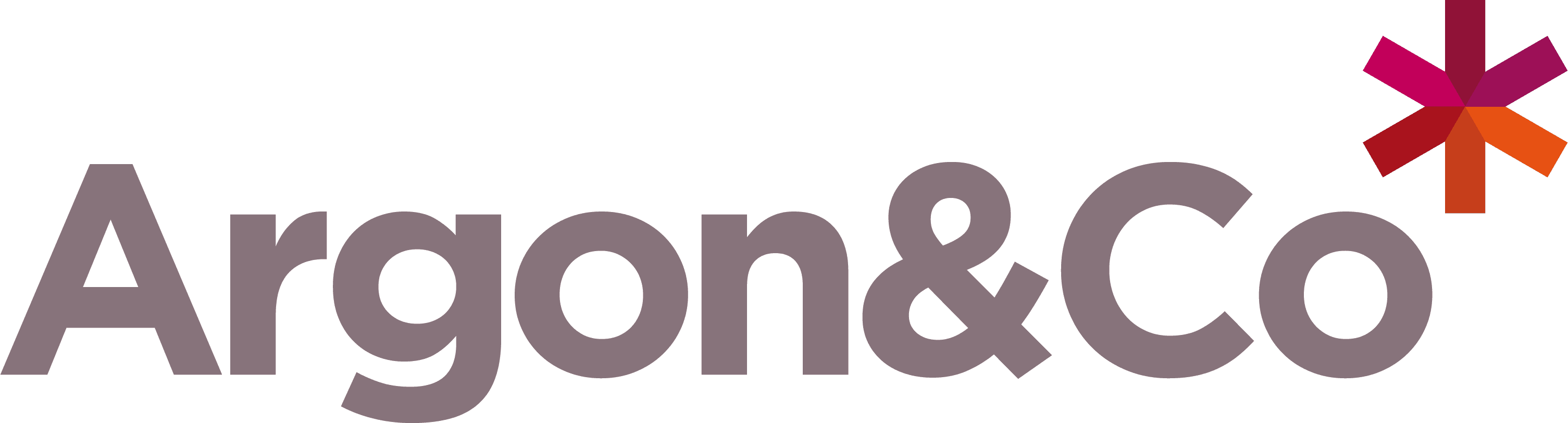 Argon & Co Logo