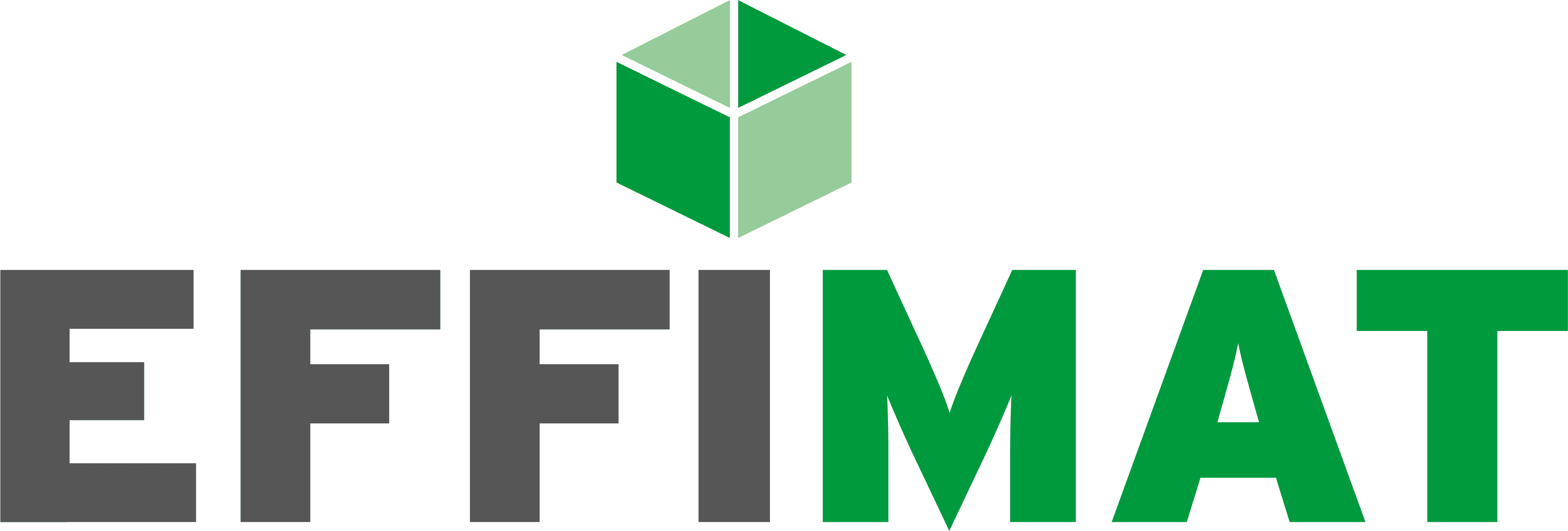 EffiMat Storage Technology A/S Logo