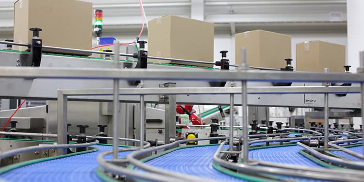Managing Growth: How Conveyor And Sortation Systems Reduce Waste And Increase Productivity