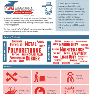 ICWM Infographic