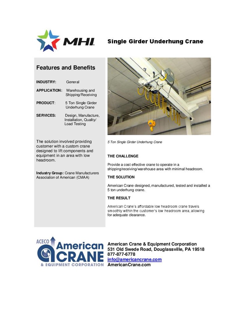 Single Girder Underhung Crane